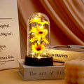 Graduation season gift small sunflower plastic set Mother's Day send wife send mother Valentine's Day eternal flower gift Birthd